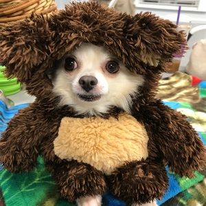 Meet your Posher, Laurie